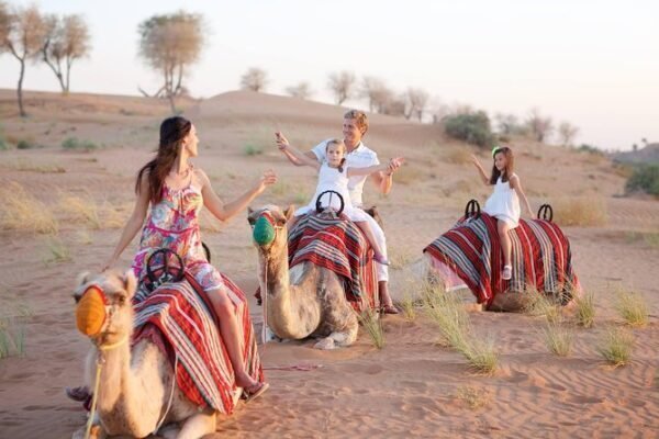 tourists family enjoying the camel trek with sand surfing and dune bashing on a camel rides in ras al khaimah